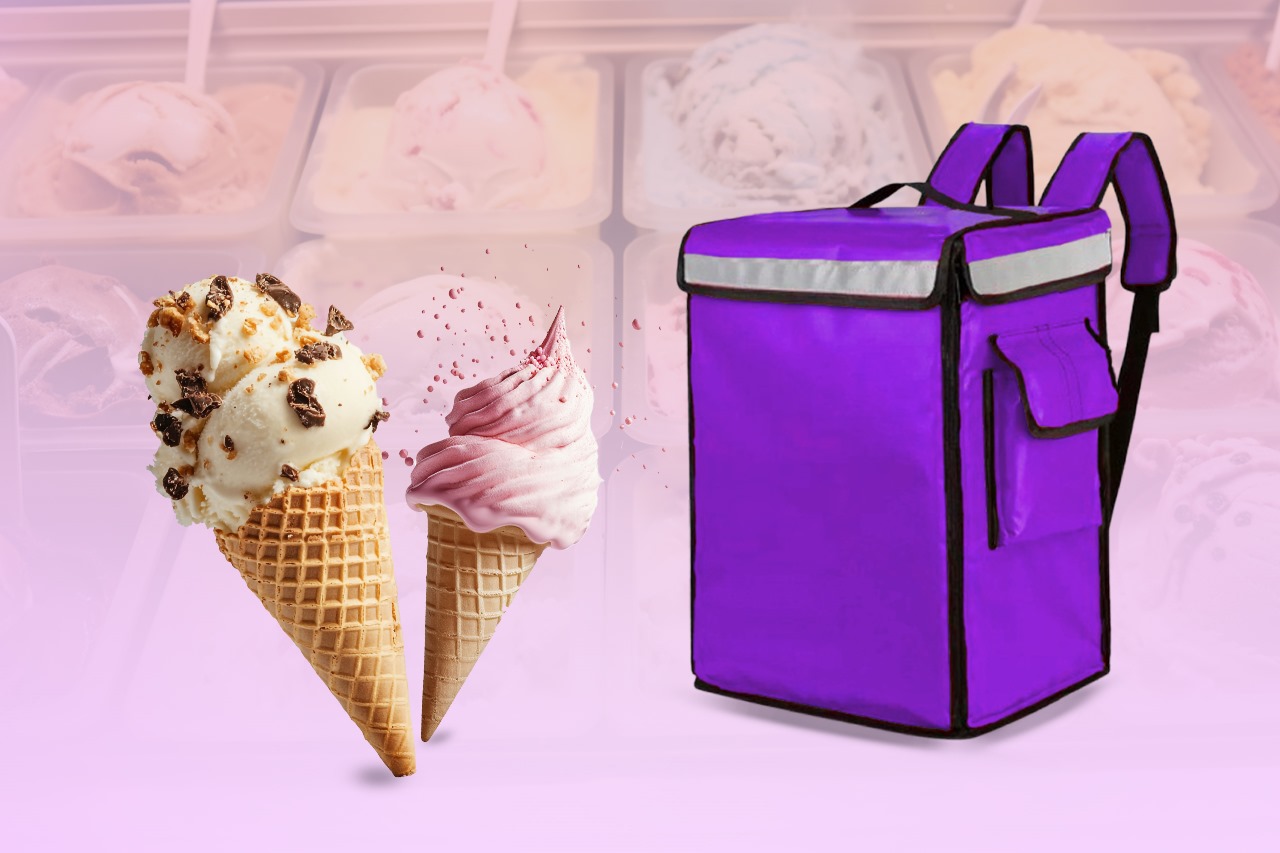 ice creem delivery bag